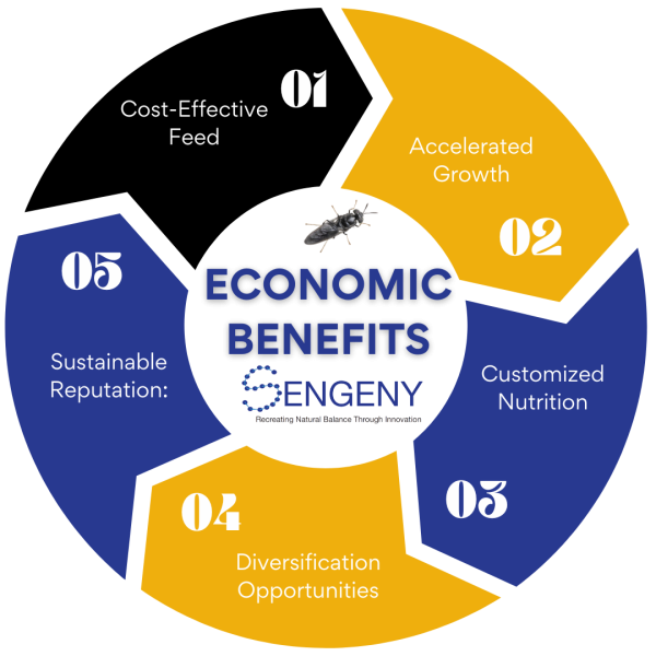 Simple Neutral Five Cycle Diagram of Self Love Instagram Post